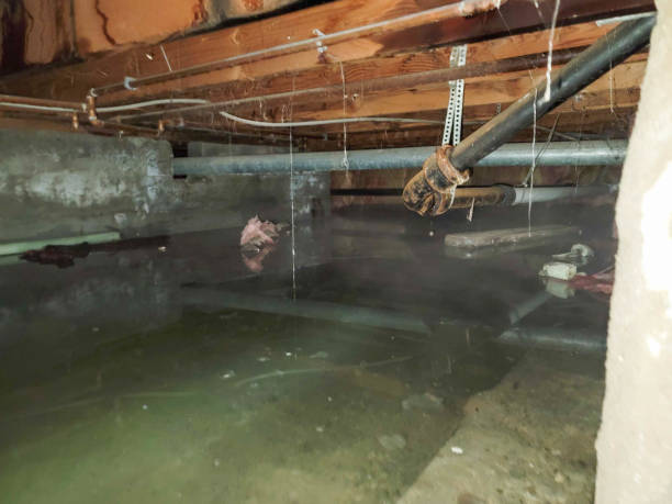 Local water damage restoration in OR