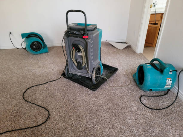 Reliable OR Water damage restoration Solutions