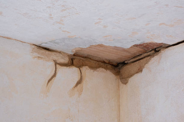 Best Professional water damage repair  in Sunriver, OR